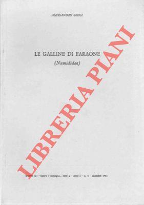 Libreria Piani