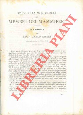 Libreria Piani