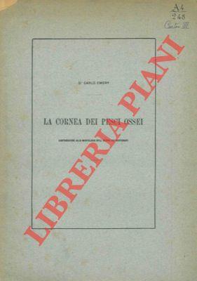 Libreria Piani