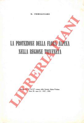 Libreria Piani