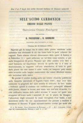Libreria Piani