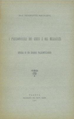 Libreria Piani