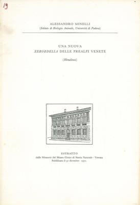 Libreria Piani