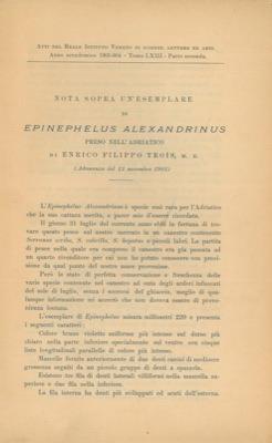 Libreria Piani
