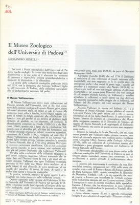 Libreria Piani