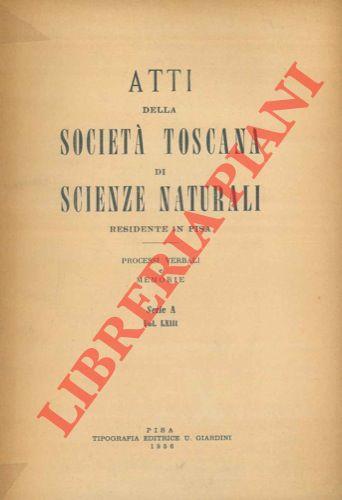 Libreria Piani