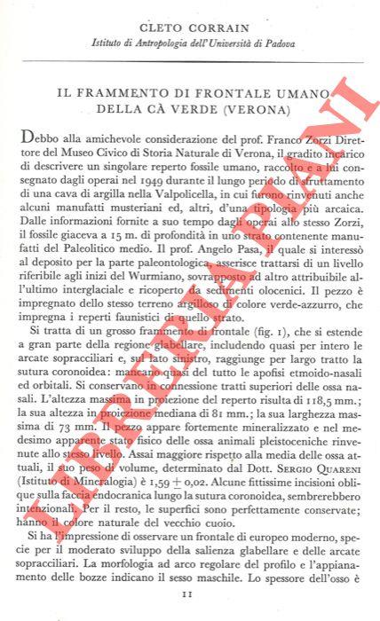 Libreria Piani