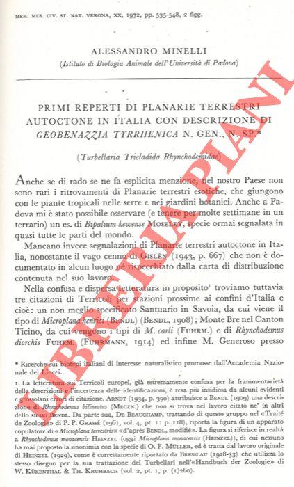 Libreria Piani