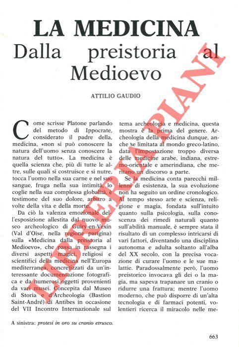 Libreria Piani