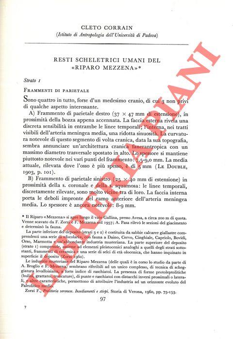 Libreria Piani