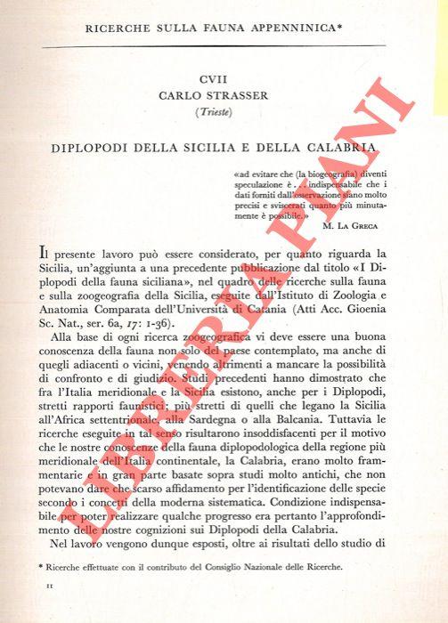Libreria Piani