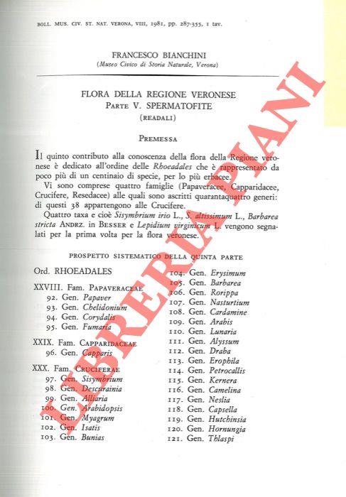 Libreria Piani