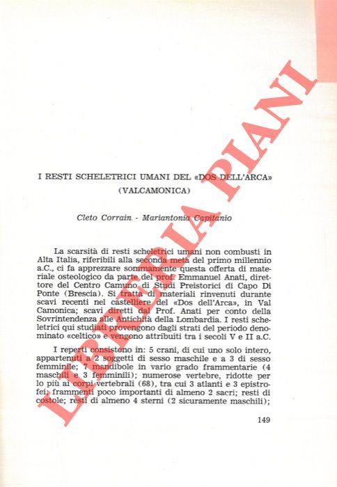 Libreria Piani
