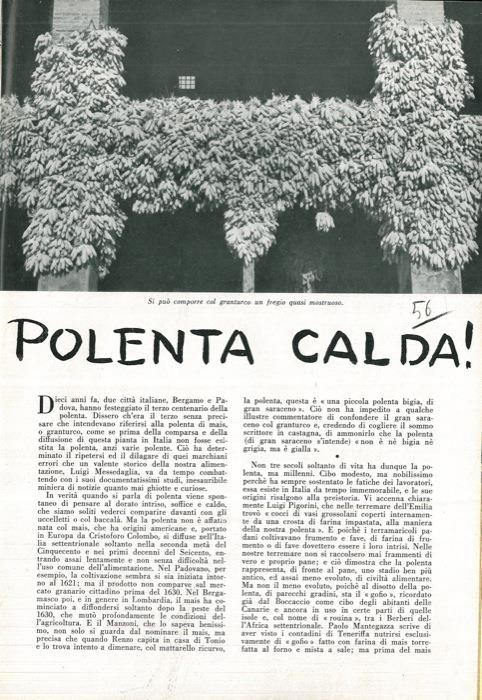 Libreria Piani