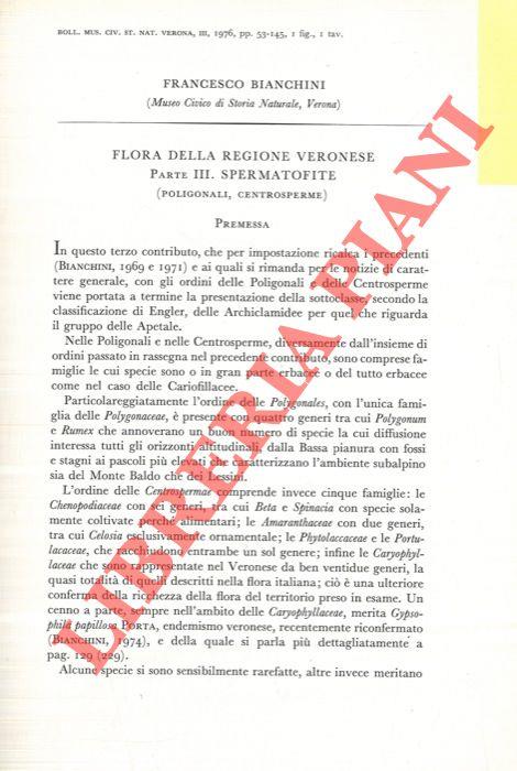 Libreria Piani