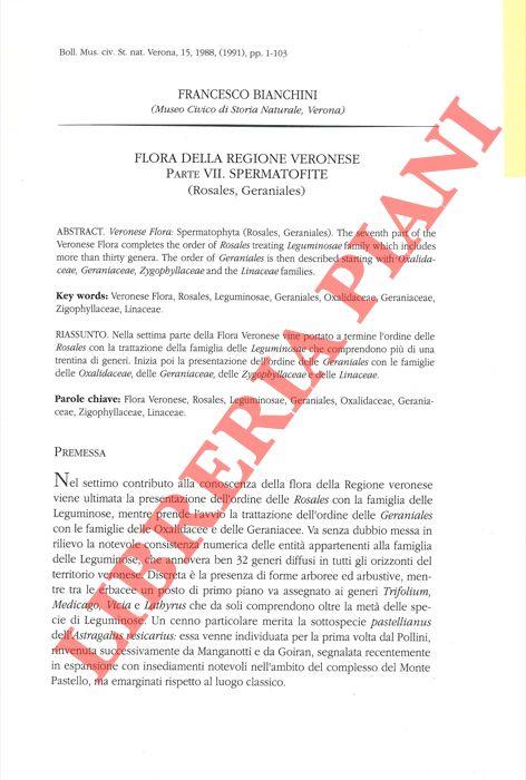 Libreria Piani