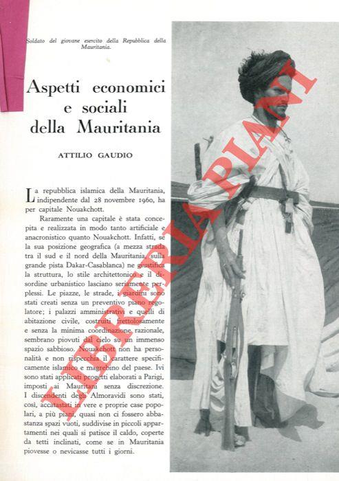 Libreria Piani