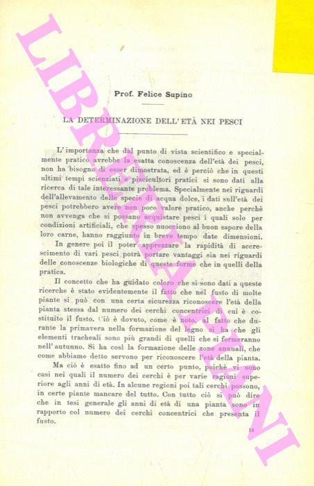 Libreria Piani