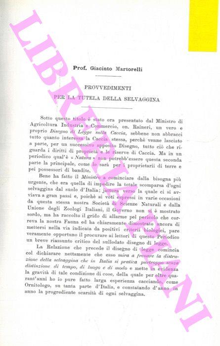Libreria Piani