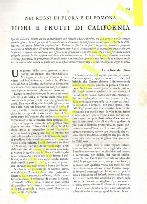 Libreria Piani