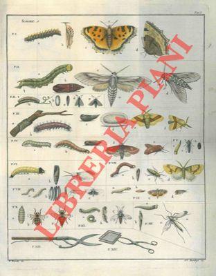 Saggio intorno agli insetti nocivi ai vegetabili economici, agli animali utili all'agricoltura, ed ai prodotti dell'economia rurale. Unito : Estratto di alcune memorie sugli insetti nocivi ai vegetabili economici .... per servire di supplemento al Sa - copertina