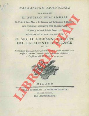Narrazione epistolare ... del turbine avvenuto nel mantovano - copertina