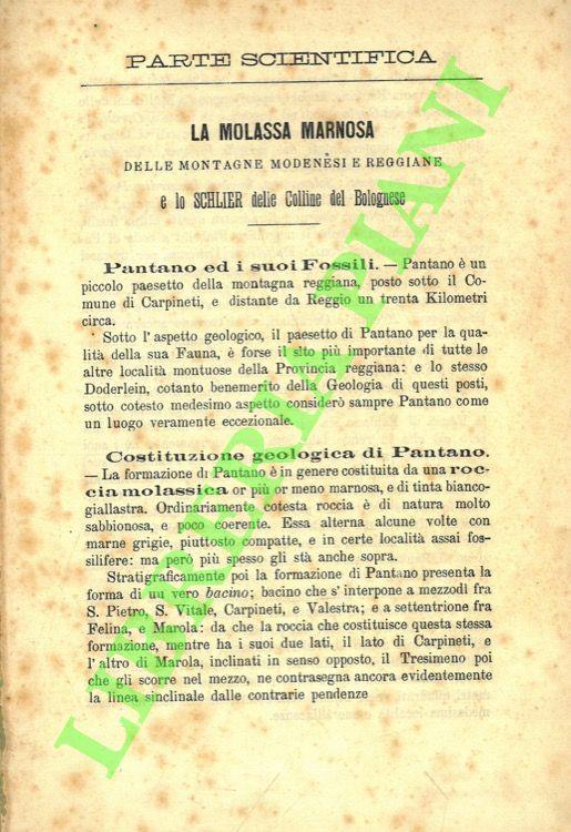 Libreria Piani