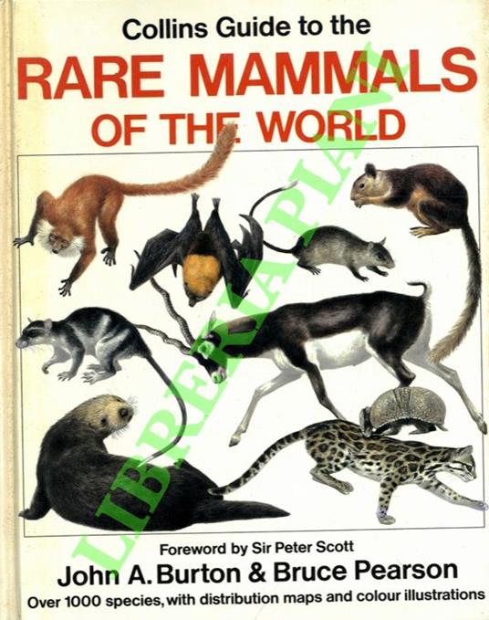 Collins Guide to the Rare Mammals of the World - copertina