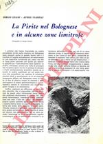 La pirite nel bolognese e in alcune zone limitrofe