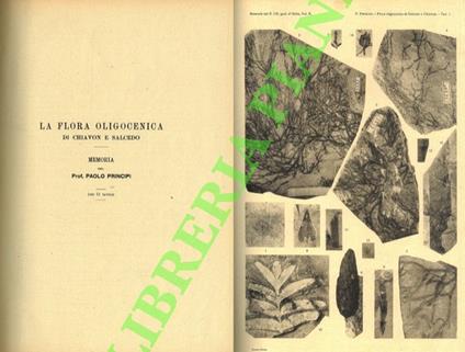 La flora oligogenica di Chiavon e Salcedo - Paolo Principi - copertina