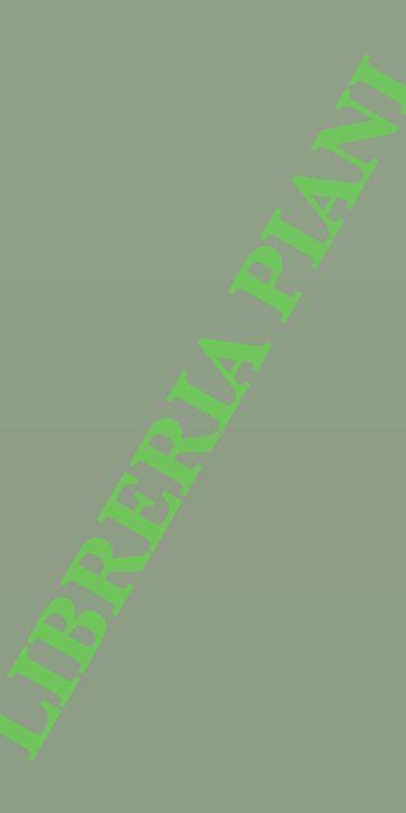 Le parole sotto le parole. Gli anagrammi di Ferdinand de Saussure - Jean Starobinski - copertina