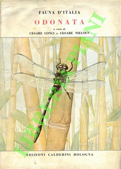 Odonata - Cesare Conci - copertina