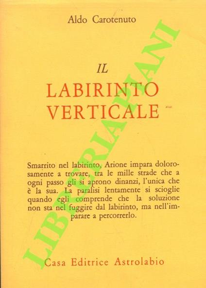 Il labirinto verticale - copertina