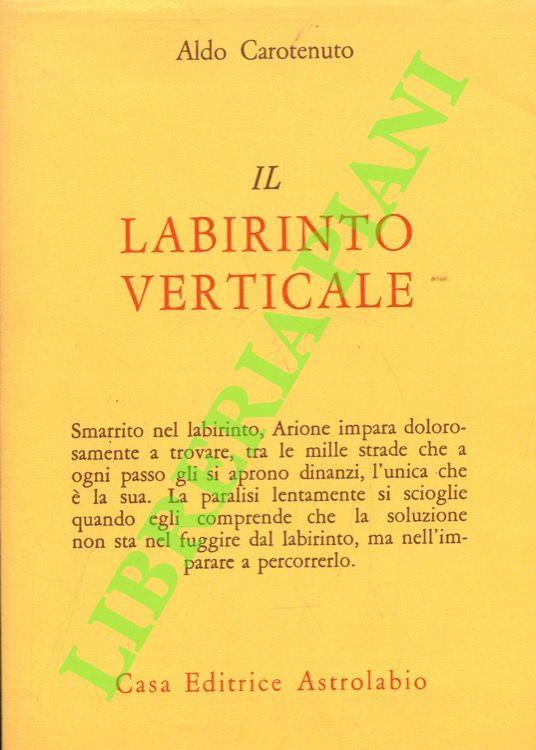 Il labirinto verticale - copertina