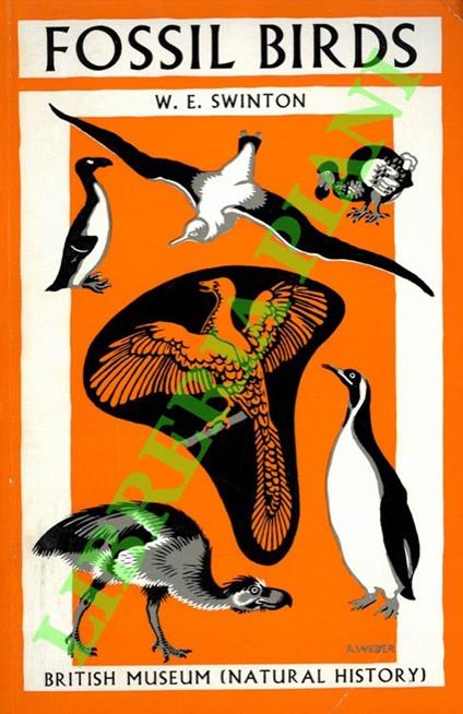 Fossil birds - copertina
