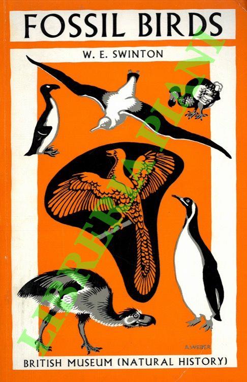 Fossil birds - copertina