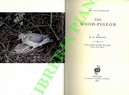 The wood-pigeon - copertina