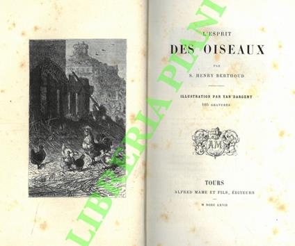 L' esprit des oiseaux - Henry Berthoud - copertina
