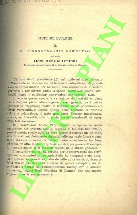 Studi sui Lucanidi. II: Sull'Odontolabis lowei Parr - Achille Griffini - copertina