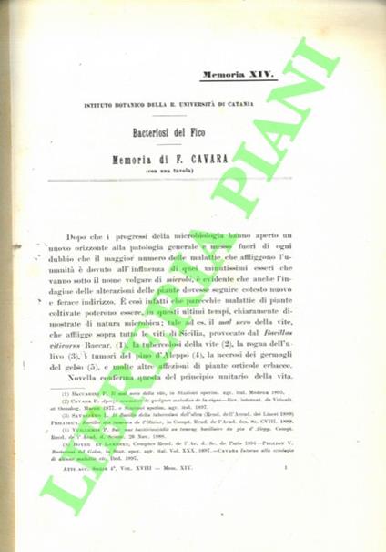 Bacteriosi del fico - copertina