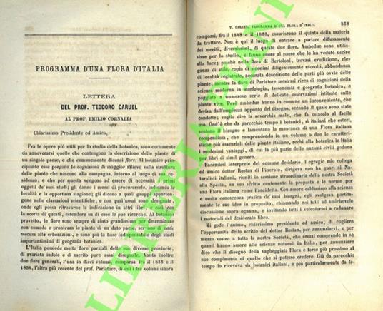 Programma d'una flora d'Italia. Lettera al prof. Emilio Cornalia - Teodoro Caruel - copertina