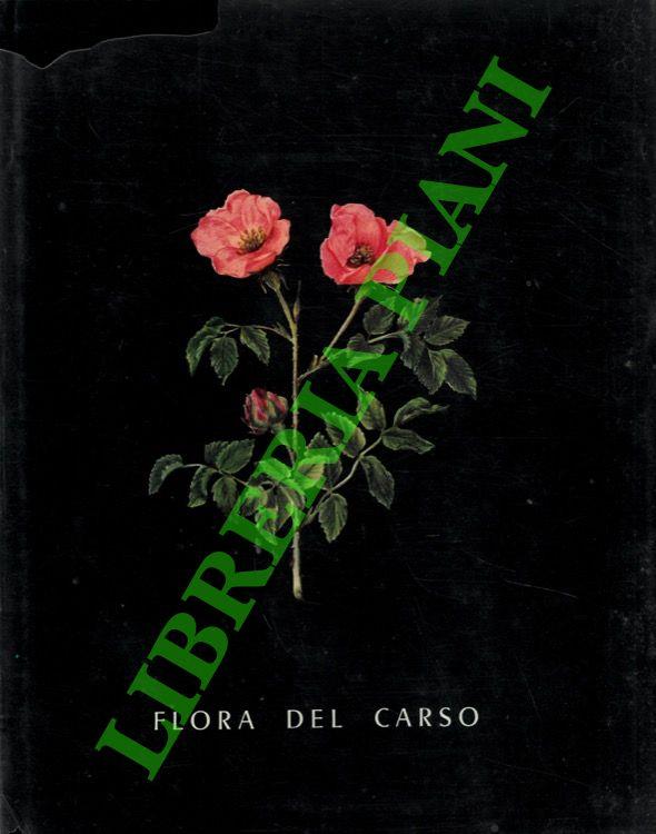 Libreria Piani