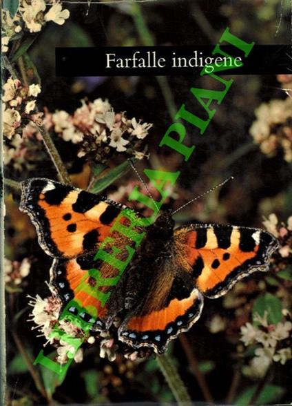 Farfalle indigene - copertina