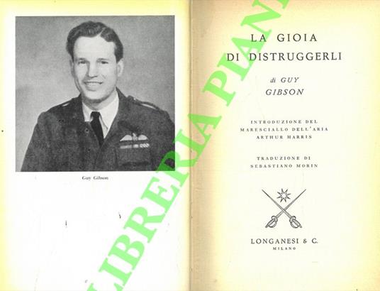 La gioia di distruggerli - copertina