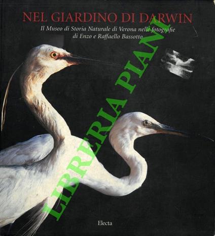Nel giardino di Darwin. Il Museo di Storia Naturale di Verona nelle fotografie di Enzo e Raffaello Bassotto - copertina