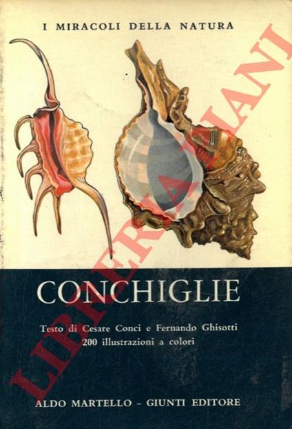 Conchiglie - Cesare Conci - copertina