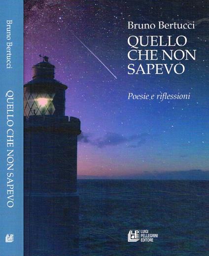 Quello che non sapevo - Bruno Bertucci - copertina