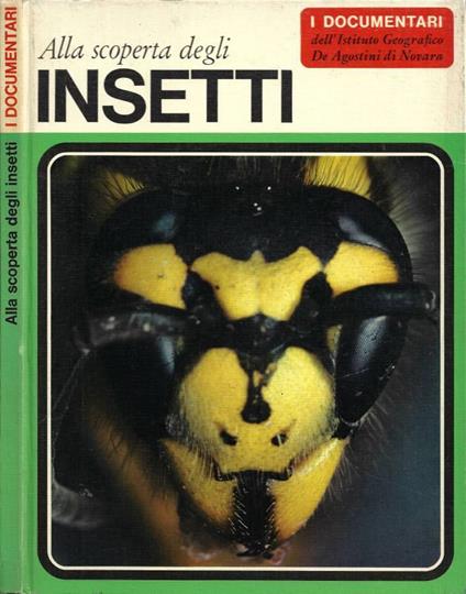 Alla scoperta degli insetti - copertina