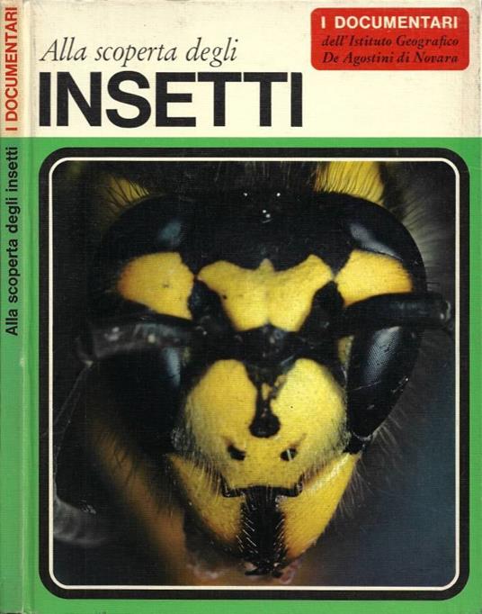Alla scoperta degli insetti - copertina