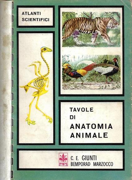 Tavole di Anatomia Animale - copertina